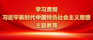 鸡巴黄视频网站学习贯彻习近平新时代中国特色社会主义思想主题教育_fororder_ad-371X160(2)